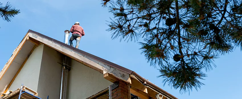 Birds Removal Contractors from Chimney in Taylor, MI