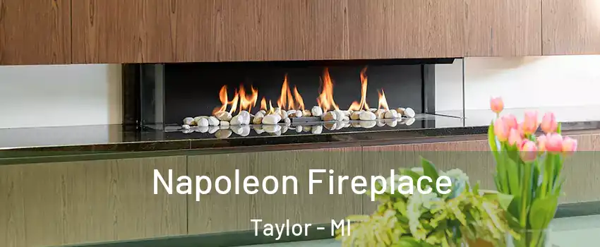  Napoleon Fireplace Taylor - MI