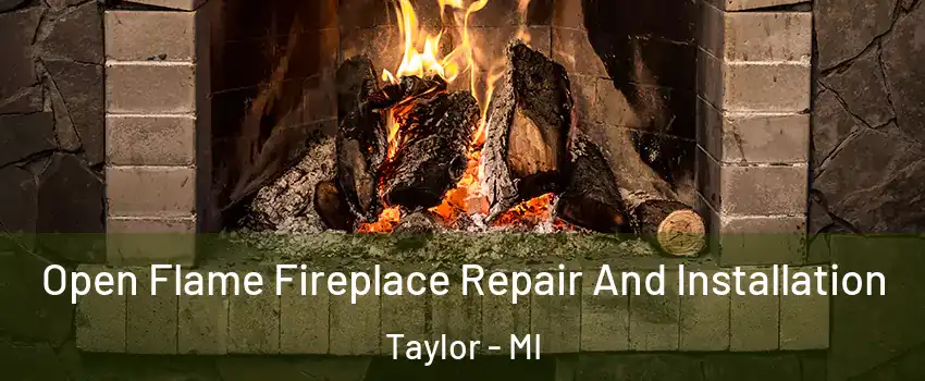  Open Flame Fireplace Repair And Installation Taylor - MI