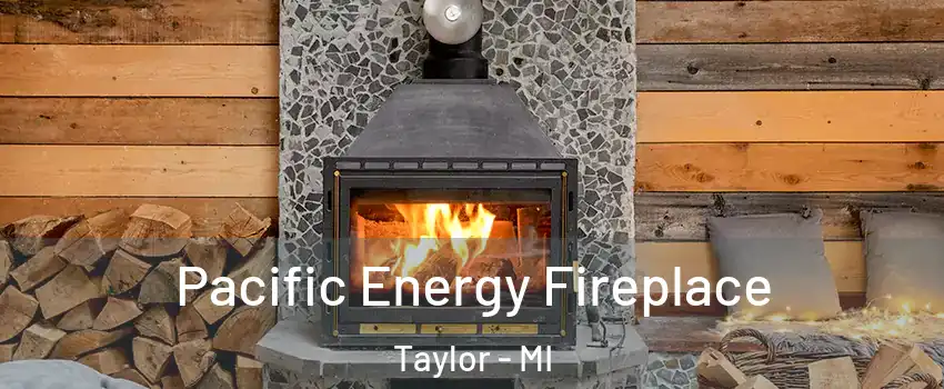  Pacific Energy Fireplace Taylor - MI