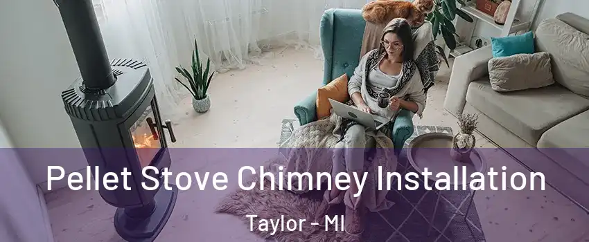  Pellet Stove Chimney Installation Taylor - MI