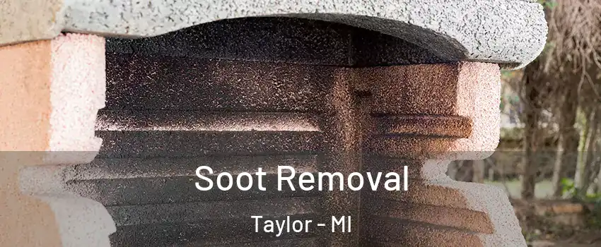  Soot Removal Taylor - MI