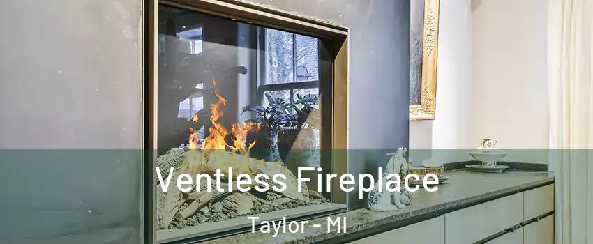  Ventless Fireplace Taylor - MI
