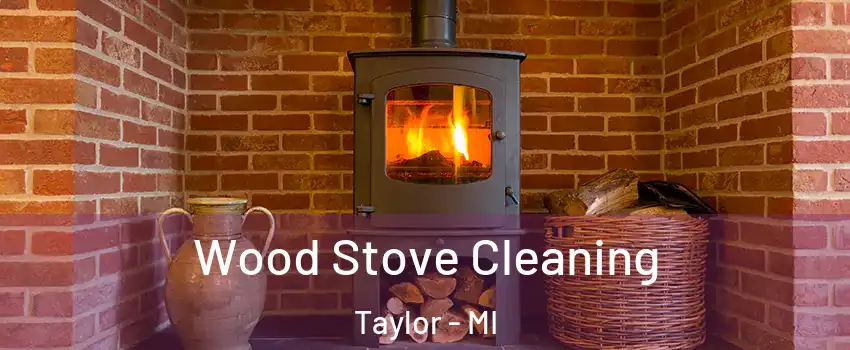  Wood Stove Cleaning Taylor - MI